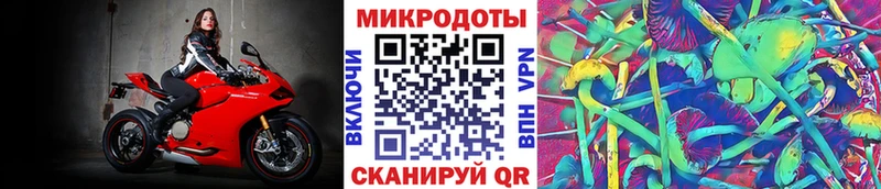 дарнет шоп Кадников Галлюциногенные грибы Psilocybe